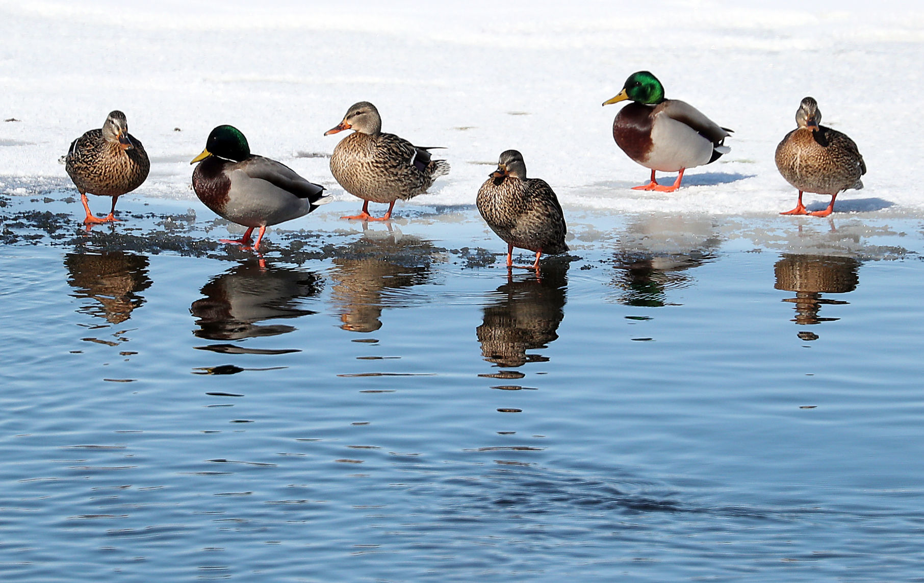 Feb. 19: Houska Park